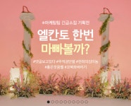 엘칸토 주문량이 늘었나보군요.. : 클리앙