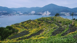 오늘자 거제 지세포 : 클리앙