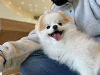 저희집 멈머(귀욤주의).jpg : 클리앙