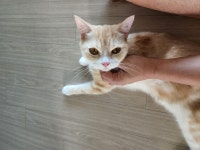 고니 병원 가보자구~~~ 으이구... : 클리앙