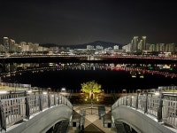 세종시 보행교 산책중이빈다 : 클리앙