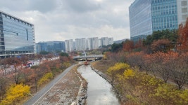 판교 가을날 출근길…jpg : 클리앙