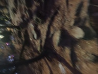 아차산 정상 부근까지 도달.jpg : 클리앙