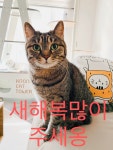 소룡이가 설날 인사 드립니다 ㅎㅎ : 클리앙