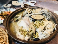 무등산에 촌닭백숙 먹고 왔습니다 : 클리앙