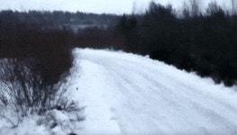 미드쉽 후륜 차량의 눈길 드리프트.gif : 클리앙