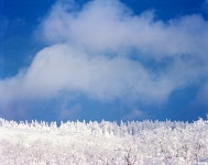 눈구경 : 클리앙