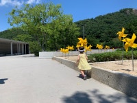 남부지방은 참 덥네요(봉하마을) : 클리앙