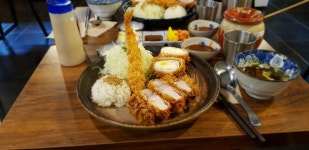 돈까스공원에 돈까스 인증합니다 : 클리앙