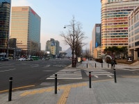세종대로 정말 사람 없네요 : 클리앙