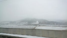 목포로 출장가는 중인데 : 클리앙