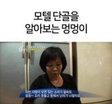 단골을 알아보는 신통한 멍뭉이.jpg : 클리앙