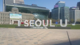 오늘 낮 서울 시청광장 : 클리앙