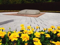 봉하에 왔습니다 : 클리앙