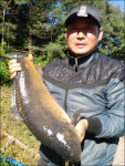 유료터정보 > 유료터점주조황 > 대물(거일낚시터)9월 첫주 조황정보