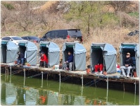 유료터정보 > 유료터점주조황 > 조황정보 입니다.