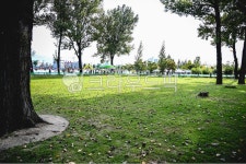 plant, 옥외, park, 식물, 공원, 사진,이미지,일러스트,캘리그라피 - 아모게작가 크라우드픽 - 저작권 걱정 없는 상업용 이미지