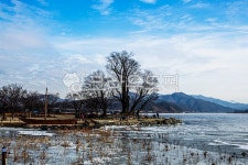 두물머리, 양수리, 양수리느티나무, 느티나무쉼터, 두물머리푸른하늘, 사진,이미지,일러스트,캘리그라피 - 청은 황작가작가 크라우드픽 - 저작권... 