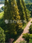 산책로, 자전거도로, 강변, 나무, 가로수, 사진,이미지,일러스트,캘리그라피 - 꼬신작가 크라우드픽 - 저작권 걱정 없는 상업용 이미지