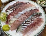맛집엄마네등푸른생선회 | 고등어회, 회, 생선회, 등푸른생선, 날음식, 사진,이미지,일러스트,캘리그라피 - Letty작가 크라우드픽 - 저작권 걱정 없는 상업용 이미지