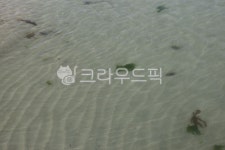 바다, 해변, 동해, 울진바다, 해안, 사진,이미지,일러스트,캘리그라피 - 헝그리작가작가 크라우드픽 - 저작권 걱정 없는 상업용 이미지