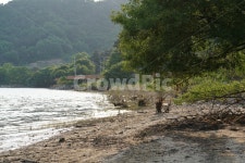 국화저수지 수변공원 산책로 | 논산저수지, 탑정저수지, 산책로, 수변로, 호수공원, 사진,이미지,일러스트,캘리그라피 - Nkhd0192작가 크라우드픽 - 저작권 걱정 없는 상업용...