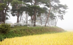 자연, 풍경, 경치, 동산, 우산각, 사진,이미지,일러스트,캘리그라피 - 서은작가 크라우드픽 - 저작권 걱정 없는 상업용 이미지