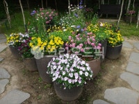 path, 길, walkway, 보도, flagstone, 사진,이미지,일러스트,캘리그라피 - 영수길작가 크라우드픽 - 저작권 걱정 없는 상업용 이미지