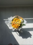 plant, 식물, flower, 꽃, 꽃다발, 사진,이미지,일러스트,캘리그라피 - 도야바라기작가 크라우드픽 - 저작권 걱정 없는 상업용 이미지