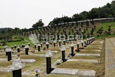 묘, 묘지, 무덤, 산소, 공동묘지, 사진,이미지,일러스트,캘리그라피 - youngwon작가 크라우드픽 - 저작권 걱정 없는 상업용 이미지