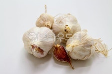 식재료, 재료, 마늘, food, 음식, 사진,이미지,일러스트,캘리그라피 - studio H작가 크라우드픽 - 저작권 걱정 없는 상업용 이미지