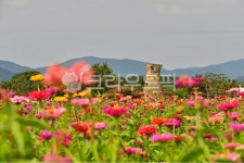 farm, 농장, rural, 농촌, plant, 사진,이미지,일러스트,캘리그라피 - 영산공작가 크라우드픽 - 저작권 걱정 없는 상업용 이미지