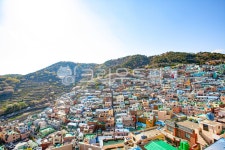 Ảnh kết quả tìm kiếm Naver 5