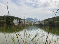 진주, 금호지, 진주금산면, 호수의봄, 금호못유원지, 사진,이미지,일러스트,캘리그라피 - pjtyuzy작가 크라우드픽 - 저작권 걱정 없는 상업용... 