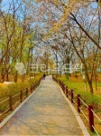 park, 공원, outdoors, 옥외, nature, 사진,이미지,일러스트,캘리그라피 - 의식의흐름작가 크라우드픽 - 저작권 걱정 없는 상업용 이미지