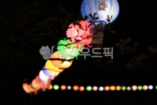 연등, 조명, 부처님오신날, light, lighting, 사진,이미지,일러스트,캘리그라피 - 창조작가 크라우드픽 - 저작권 걱정 없는 상업용 이미지