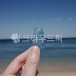 바다, 바다유리, 동해, 속초, 유리, 사진,이미지,일러스트,캘리그라피 - 171archive작가 크라우드픽 - 저작권 걱정 없는 상업용 이미지