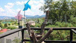 공원, 정원, 마당, 풀, 초록, 사진,이미지,일러스트,캘리그라피 - 장원작가 크라우드픽 - 저작권 걱정 없는 상업용 이미지