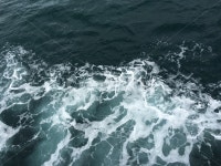 바다, 파도, 회오리, 거품, 검은바다, 사진,이미지,일러스트,캘리그라피 - 오늘도찍찍작가 크라우드픽 - 저작권 걱정 없는 상업용 이미지