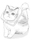 drawing, 그림, art, 미술, 스케치, 사진,이미지,일러스트,캘리그라피 - 비스트폴렉작가 크라우드픽 - 저작권 걱정 없는 상업용 이미지
