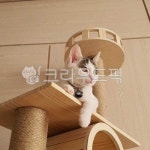 캣타워, 고양이놀이터, 고양이휴식처, 캣목걸이, 도도한고양이, 사진,이미지,일러스트,캘리그라피 - Nbayabaajang작가 크라우드픽 - 저작권... 