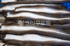 재래시장, 전통시장, 5일장, 오일장, 5일장풍경, 사진,이미지,일러스트,캘리그라피 - Nbocrates68작가 크라우드픽 - 저작권 걱정 없는 상업용... 