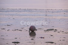 갯벌, 부레, 석양, 썰물, 바닷가, 사진,이미지,일러스트,캘리그라피 - 봉구58작가 크라우드픽 - 저작권 걱정 없는 상업용 이미지