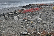 갯골, 간조, 바다, 썰물, 조수, 사진,이미지,일러스트,캘리그라피 - Deep bLUE작가 크라우드픽 - 저작권 걱정 없는 상업용 이미지