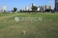 그라운드골프, 그라운드, 골프, 골프장, 취미, 사진,이미지,일러스트,캘리그라피 - 프리이미지작가 크라우드픽 - 저작권 걱정 없는 상업용 이미지