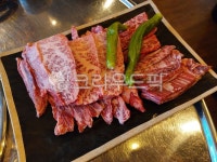 고기, 생고기, 소고기, beef, 갈비살, 사진,이미지,일러스트,캘리그라피 - 에이스작가 크라우드픽 - 저작권 걱정 없는 상업용 이미지