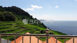 바다, 자연, 산, 벼, 논, 사진,이미지,일러스트,캘리그라피 - susgii작가 크라우드픽 - 저작권 걱정 없는 상업용 이미지