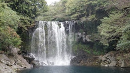 천제연폭포, 제주도, 폭포, 강, 자연, 사진,이미지,일러스트,캘리그라피 - 공다작가 크라우드픽 - 저작권 걱정 없는 상업용 이미지