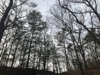 자연, 산, 숲속, 나무, 풍경, 사진,이미지,일러스트,캘리그라피 - 동교사작가 크라우드픽 - 저작권 걱정 없는 상업용 이미지