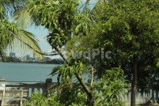 outdoors, 옥외, arbour, 정자, garden, 사진,이미지,일러스트,캘리그라피 - Nba작가 크라우드픽 - 저작권 걱정 없는 상업용 이미지